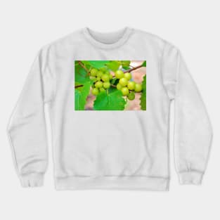 Grapes Crewneck Sweatshirt